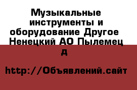 Музыкальные инструменты и оборудование Другое. Ненецкий АО,Пылемец д.